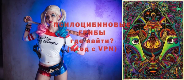 спиды Медвежьегорск