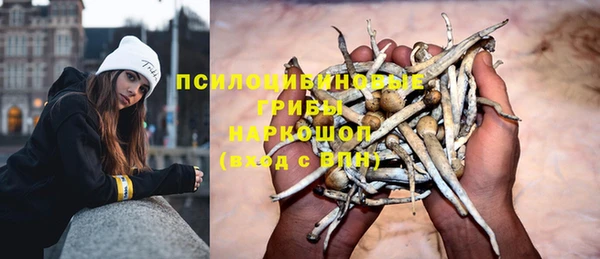 мескалин Мегион