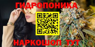 прущие грибы Будённовск