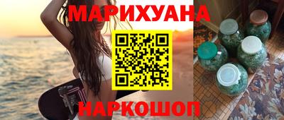 прущие грибы Будённовск