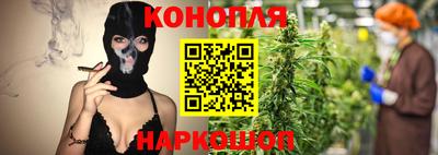 прущие грибы Будённовск