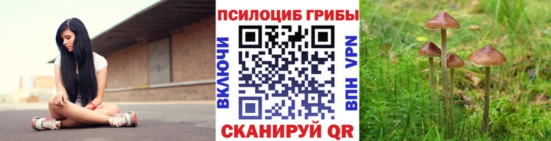 Псилоцибиновые грибы мицелий  что такое наркотик  Всеволожск 