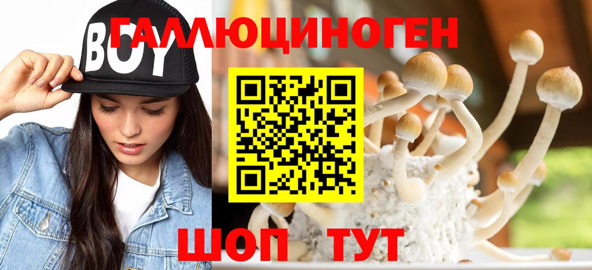 Всеволожск  Масло ТГК  Cocaine  МЕФ  Вход с VPN  APVP  Гарик  Мефедрон  Продажа наркотиков  Марки 