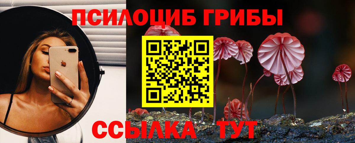 Псилоцибиновые грибы Psilocybine cubensis Всеволожск