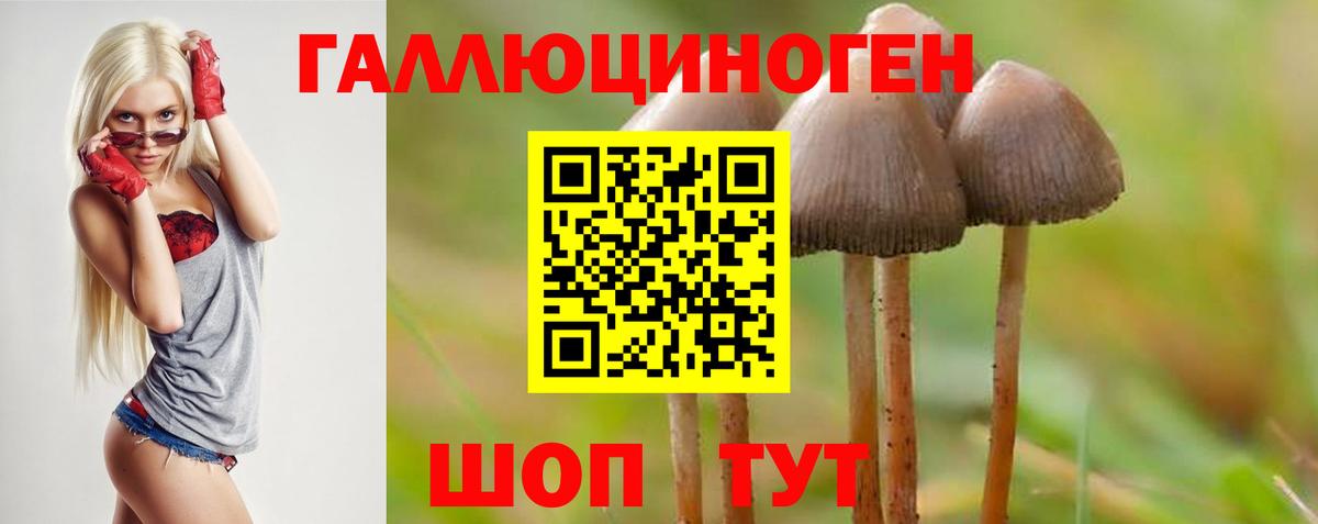 Галлюциногенные грибы Magic Shrooms Всеволожск